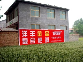  五河如何让墙体广告展现最大化效果